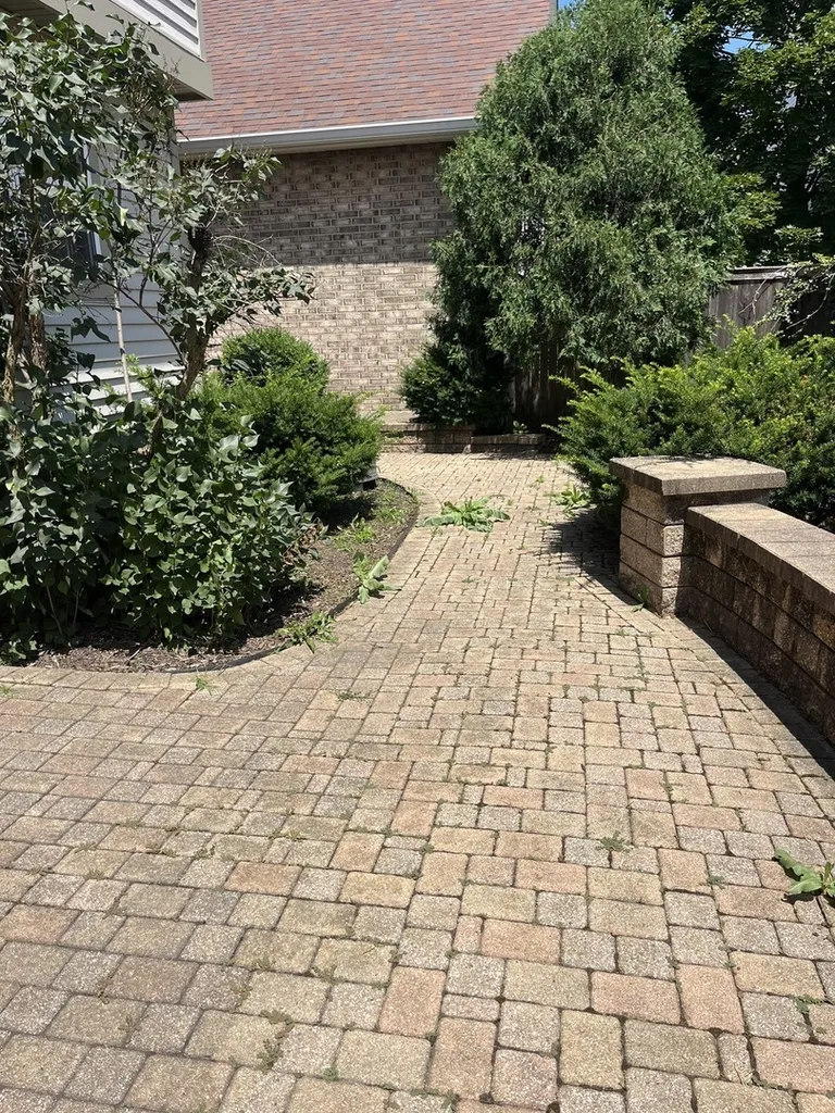 1617 Astor Avenue Oakbrook Terrace IL 60181