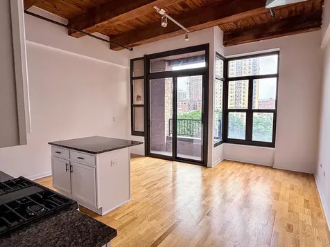 1503 South State Street Chicago IL 60605