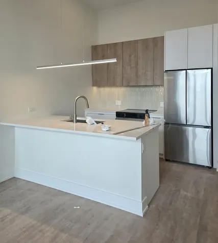 1537 North Orleans Avenue Chicago IL 60610