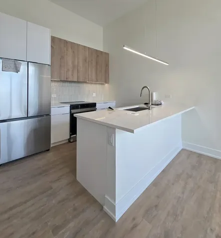 1537 North Orleans Avenue Chicago IL 60610