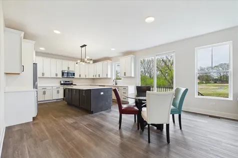 22164 West Casa Bella View Kildeer IL 60047