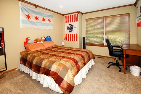 383 Shadow Creek Drive Vernon Hills IL 60061
