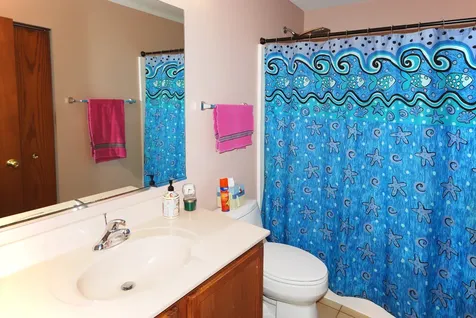 383 Shadow Creek Drive Vernon Hills IL 60061