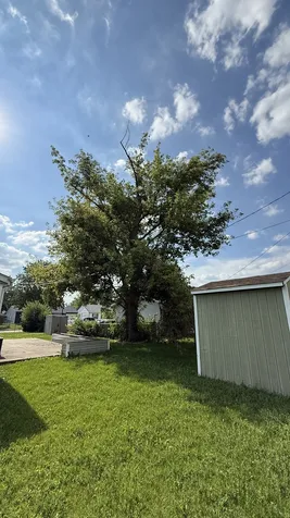 406 Belmont Drive Romeoville IL 60446