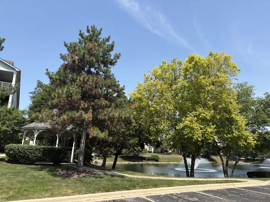 1291 West Lake Street Addison IL 60101