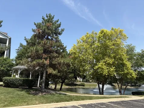 1291 West Lake Street Addison IL 60101