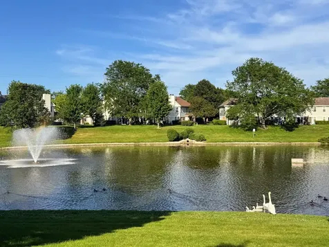 115 East Fabish Drive Buffalo Grove IL 60089