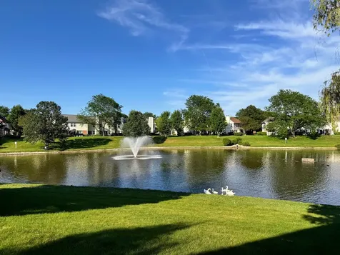 115 East Fabish Drive Buffalo Grove IL 60089