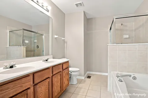 487 South Litchfield Drive Round Lake IL 60073