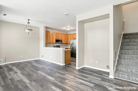 487 South Litchfield Drive Round Lake IL 60073