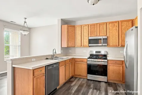 487 South Litchfield Drive Round Lake IL 60073