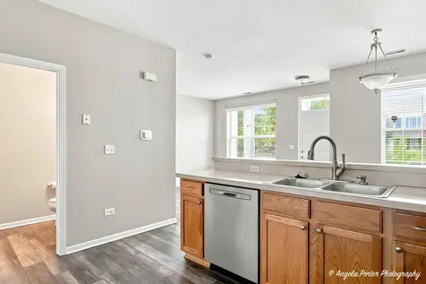 487 South Litchfield Drive Round Lake IL 60073