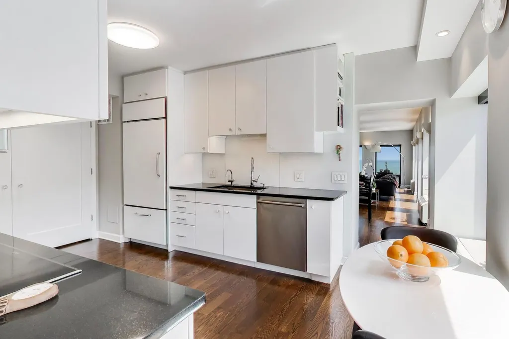 1100 North Lake Shore Drive Chicago IL 60611