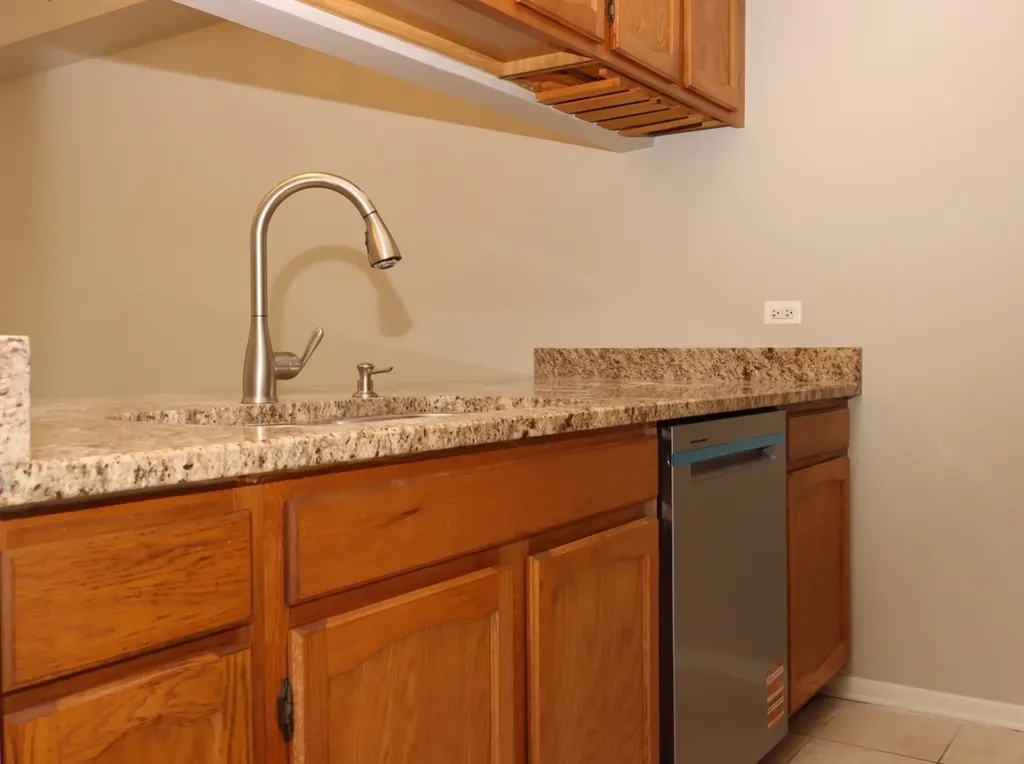 1333 Cranbrook Court Schaumburg IL 60193