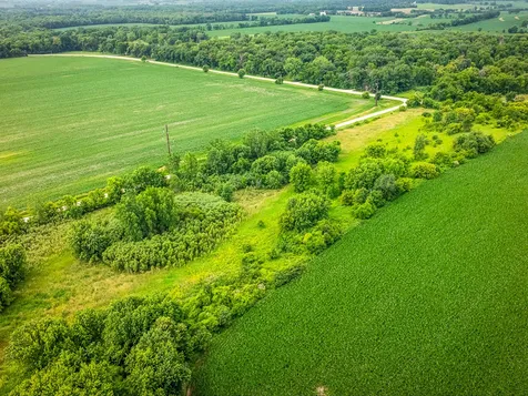 9836 East Maize Road Ridott IL 61067