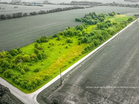 9836 East Maize Road Ridott IL 61067