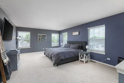 804 South Sparkle Court Oswego IL 60543