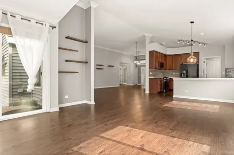 1009 Birchwood Drive Pingree Grove IL 60140