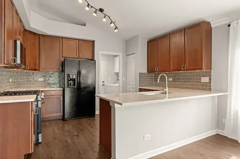 1009 Birchwood Drive Pingree Grove IL 60140