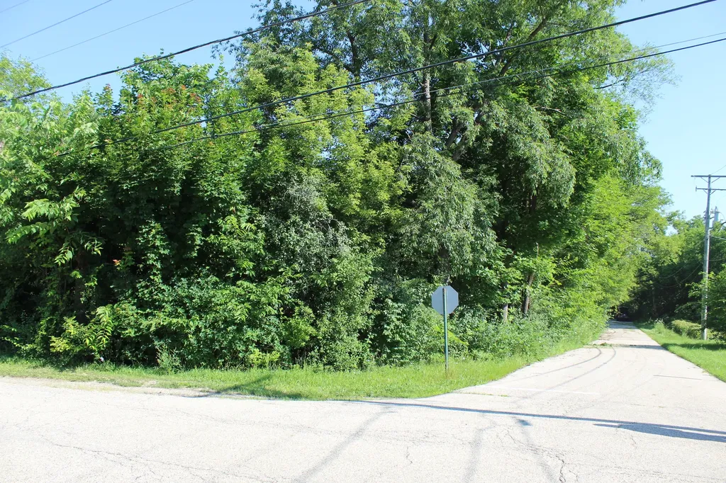 31918 Hillside Drive Lakemoor IL 60051