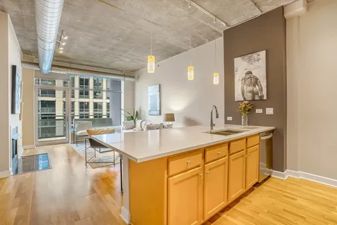 1305 South Michigan Avenue Chicago IL 60605
