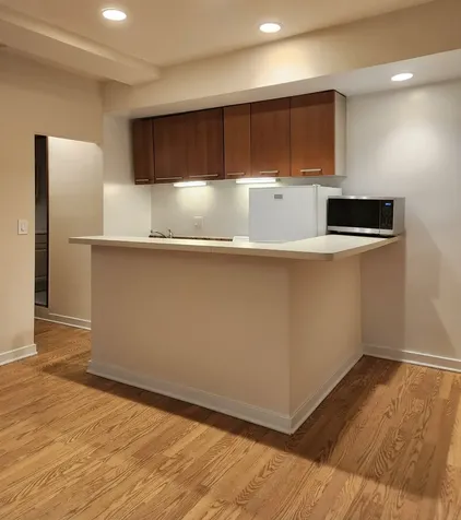 1504 North Dearborn Parkway Chicago IL 60610