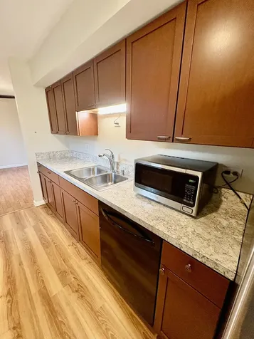 228 Dakota Court Bolingbrook IL 60440
