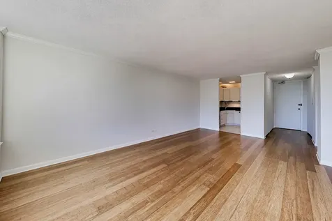 2728 North Hampden Court Chicago IL 60614