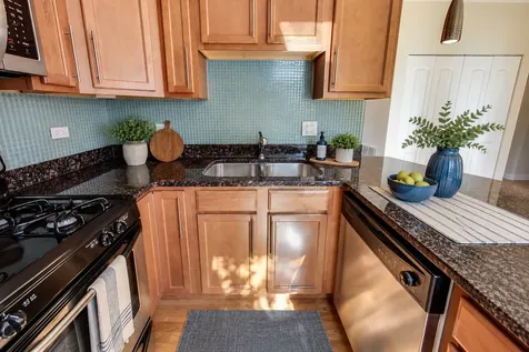 3007 North Clifton Avenue Chicago IL 60657