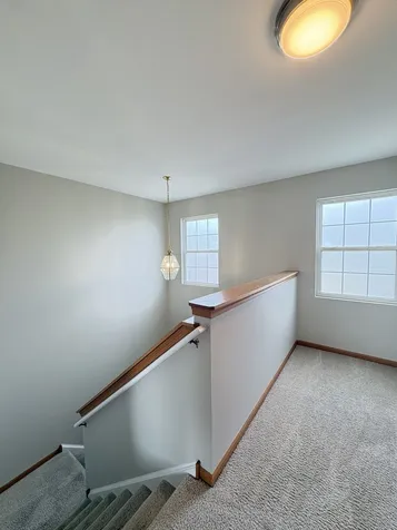 655 Chestnut Ridge Minooka IL 60447