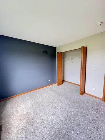 655 Chestnut Ridge Minooka IL 60447