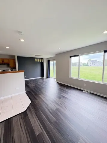 655 Chestnut Ridge Minooka IL 60447