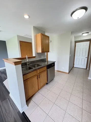 655 Chestnut Ridge Minooka IL 60447