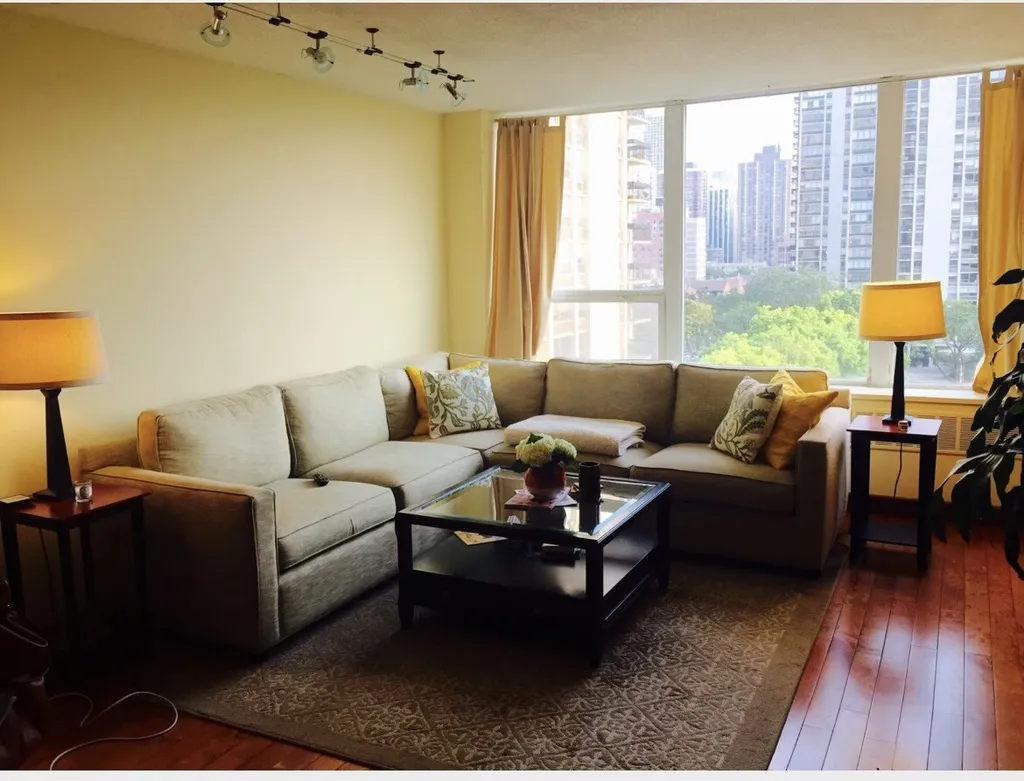 1460 North Sandburg Terrace Chicago IL 60610