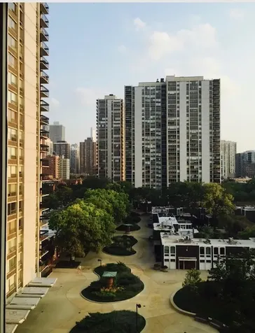 1460 North Sandburg Terrace Chicago IL 60610