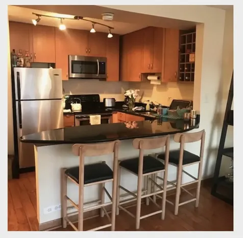 1460 North Sandburg Terrace Chicago IL 60610
