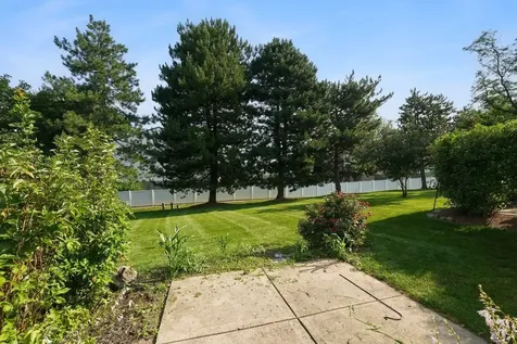 419 Orleans Avenue Naperville IL 60565