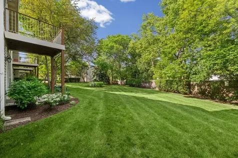 2421 Madiera Court Buffalo Grove IL 60089