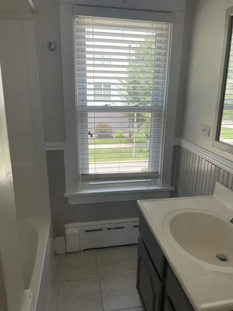 211 North Larch Avenue Elmhurst IL 60126
