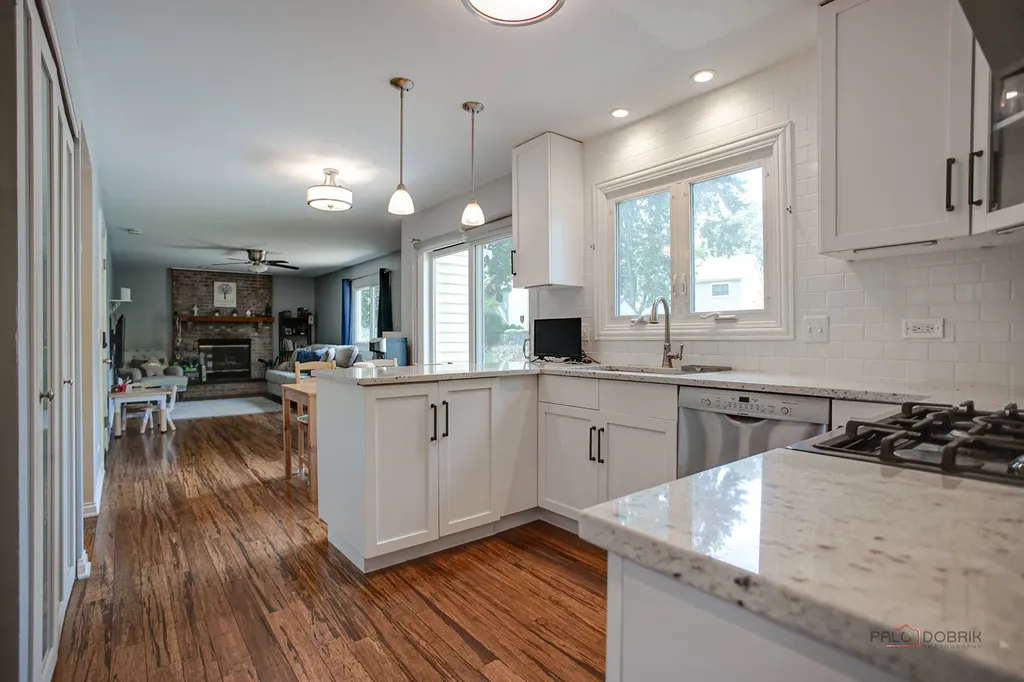 1636 Green River Drive Schaumburg IL 60194