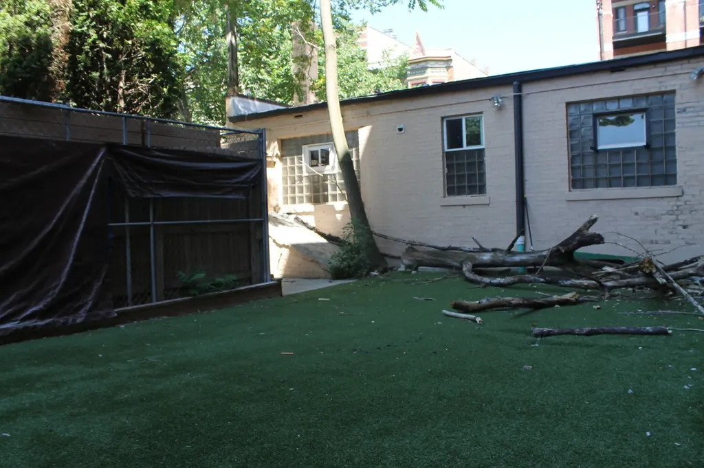 2227 West Belmont Avenue Chicago IL 60618