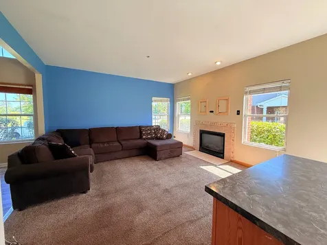 911 Berry Path Trail Matteson IL 60443
