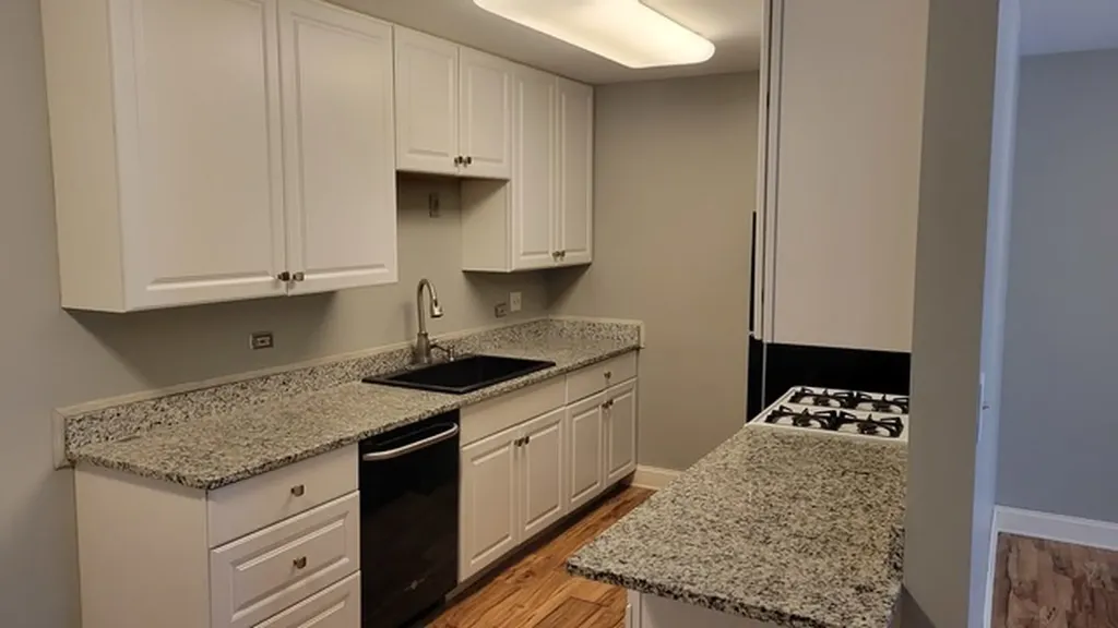 441 Park Ridge Lane Aurora IL 60504