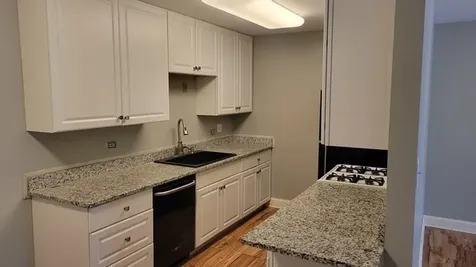 441 Park Ridge Lane Aurora IL 60504