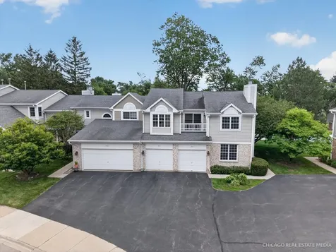 917 North Cove Drive Palatine IL 60067