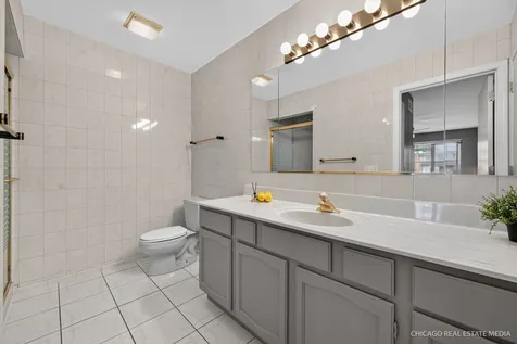 917 North Cove Drive Palatine IL 60067