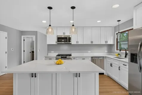 917 North Cove Drive Palatine IL 60067