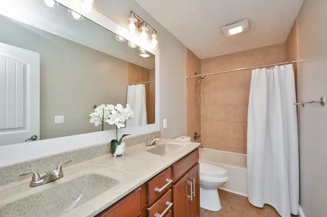641 Celebration Drive Normal IL 61761