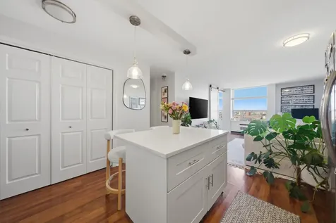 1455 North Sandburg Terrace Chicago IL 60610