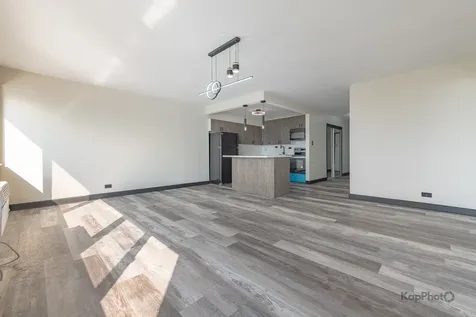 7337 South South Shore Drive Chicago IL 60649
